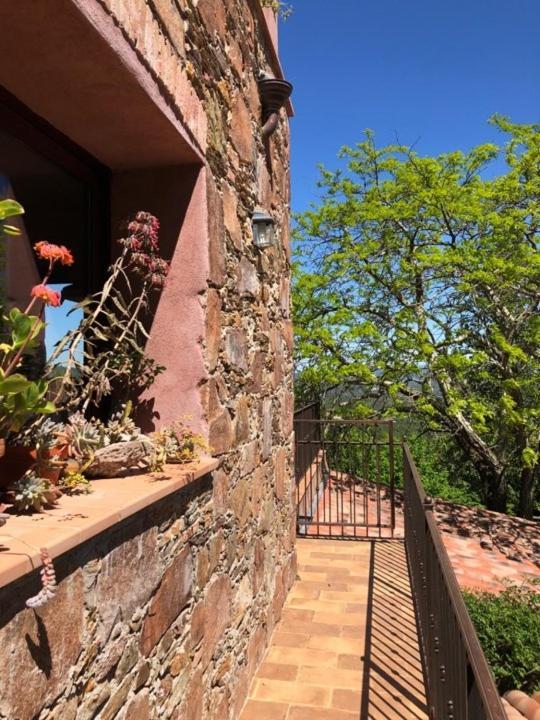 Bed And Breakfast La Maison De Nathalie Les Mayons Екстериор снимка